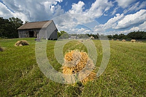 Hay and Barn on Old Vintage Wisconsin Dairy Farm