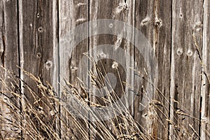Hay,barnboards,background