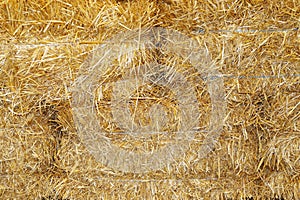 Hay briquette stack as animal food at animal farm as a background