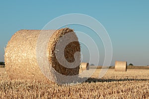 Hay bundles on a field photo