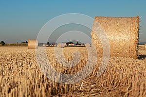 Hay bundles on a field photo