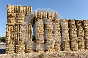 Hay bundles stacked up in the middle of a hay field