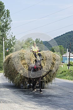 Hay cart in Romania