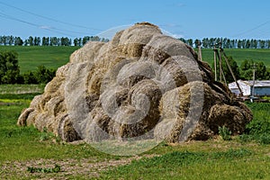 Hay in coils on the farm is stored for the winter.
