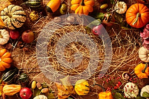 Hay with copy space bordered by gourds