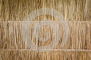 Hay or dry grass background