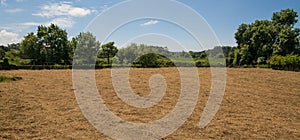 Hay drying in field on a bright sunny day in rural Portugal.