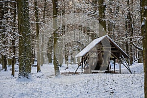 Hay feeder for deer and stags in the forest  the garden of medieval Castle Blatna in winter sunny day  Czech Republic