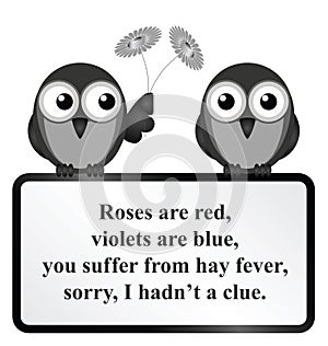 Hay Fever Poem