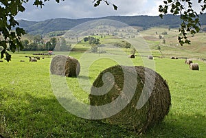 Hay field