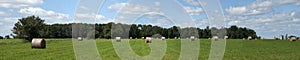 Hay Field Bales Farm Land Panorama, Banner photo