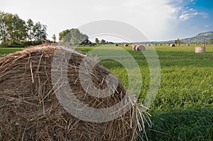 Hay field with detail on a bale