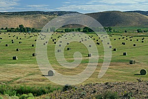 Hay Field with Irrigation and Hay Rolls