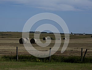 Hay field in North Dakota with hay bales