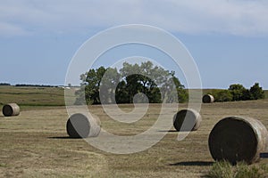 Hay field in North Dakota with hay bales