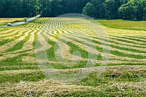 Hay Field Patterns