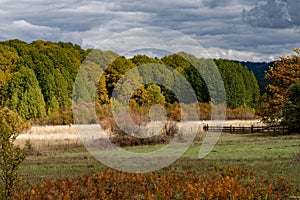 Hay field and trees surrounded by multicolored fall leaves below a cloudy blue sky