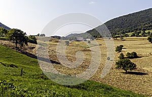 Hay fields at Lumini