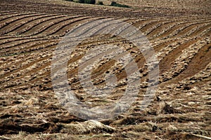 Hay Fields and Rolling Hills