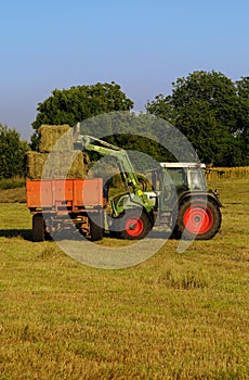 Hay harvest