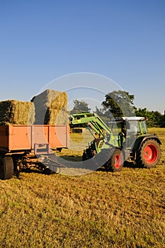 Hay harvest