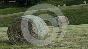 Hay Harvest in the Foothills of the Appalachian Mountains