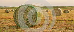 Hay harvest North Dakota photo