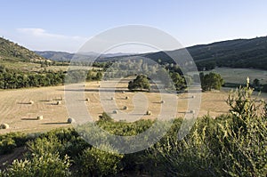 Hay Harvest in the West