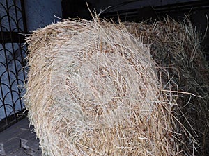 Hay, hayroll close up