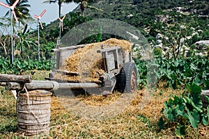 Hay, haystack, agriculture, cart. Rural landscape, farm village. Beautiful asian landscape