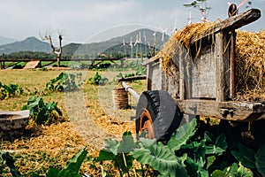 Hay, haystack, agriculture, cart. Rural landscape, farm village. Beautiful asian landscape
