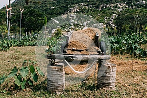 Hay, haystack, agriculture, cart. Rural landscape, farm village. Beautiful asian landscape