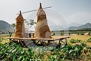 Hay, haystack, agriculture, cart. Rural landscape, farm village. Beautiful asian landscape