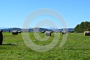 Hay in the Highlands