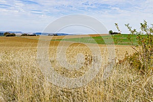 Hay landscape along touristic route Romantic Road, Germany