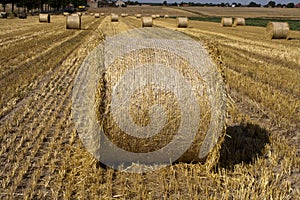 Hay Large bales -Round bales are harder to handle than square bales but compress the hay more tightly. This round bale is partiall
