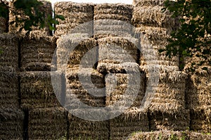 Hay Large bales -Round bales are harder to handle than square bales but compress the hay more tightly. This round bale is partiall