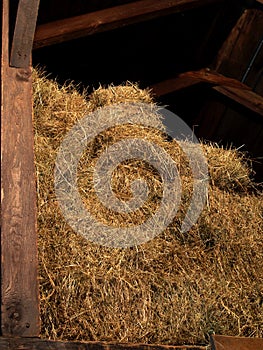 Hay in the loft