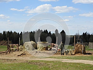 Hay lying in the meadow on a hot summer day, with puffy clouds in the dark blue sky, the farmer works