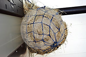 A hay net full of teff hay hanging in a horse box