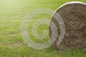 Hay pack in a cut meadow. Detail and place to describe