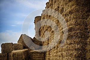 Hay packed rectangular sheaves