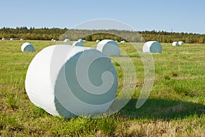 Hay is packed into a white material