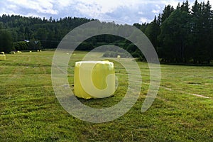 Hay packed in yellow plastic film in round rolls on a green field