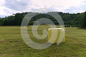 Hay packed in yellow plastic film in round rolls on a green field