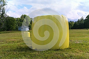 Hay packed in yellow plastic film in round rolls on a green field