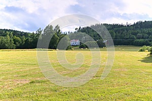 Hay packed in yellow plastic film in round rolls on a green field