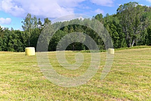 Hay packed in yellow plastic film in round rolls on a green field