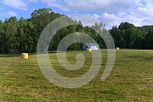 Hay packed in yellow plastic film in round rolls on a green field.