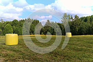 Hay packed in yellow plastic film in round rolls on a green field.